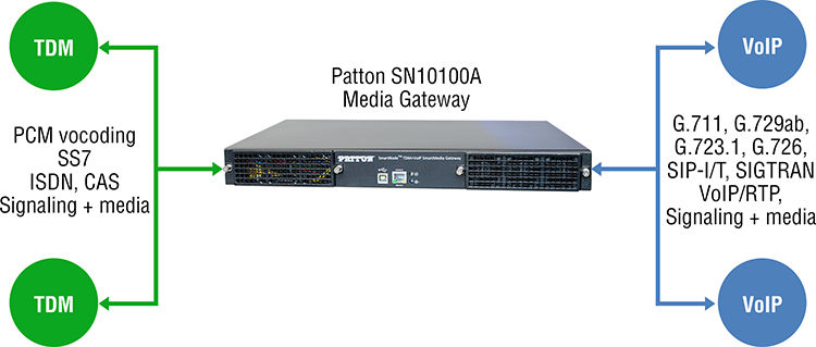 SN10100A Media Gateway