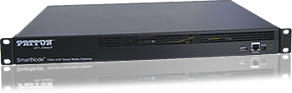 SmartNode 10100 - SS7 Media Gateways (TDM+VoIP SS7 Gateway) with T1/E1/J1