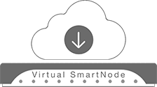 Virtual SmartNode - SmartNode Virtual Enterprise Session Border Controller for VOIP security