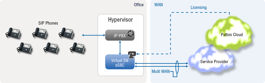 software sbc or virtual sbc for SIP trunking, with SBC Access Router